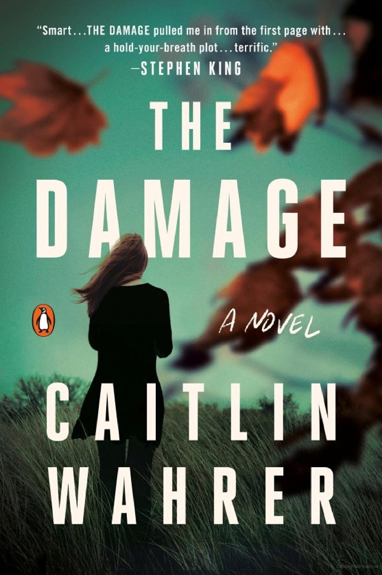 The Damage Book Jacket